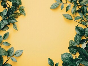 黄绿背景下的清新绿叶