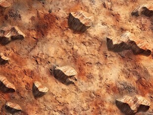 火星地表岩石景象