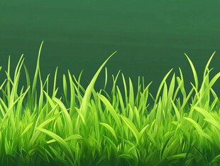 翠绿青草背景图