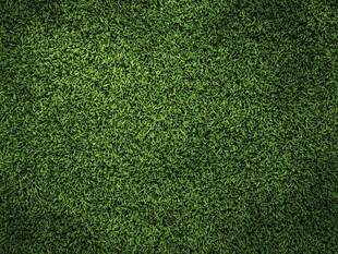 翠绿茂密的仿真草坪背景