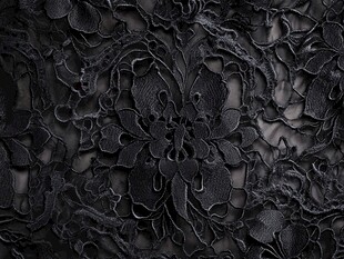黑色精致蕾丝面料纹理