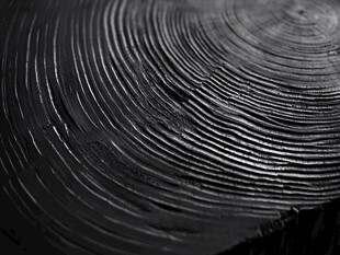 树桩年轮特写纹理画面