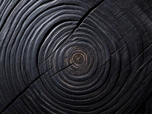 黑木年轮纹理特写
