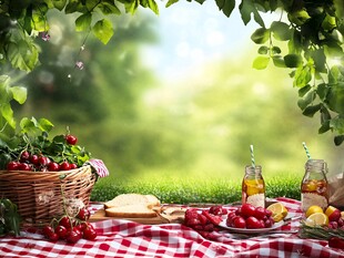 户外草地野餐的惬意时光