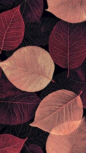 秋叶纹理背景图