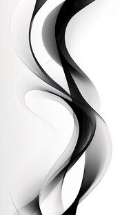 黑白动感曲线抽象艺术图