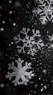 雪花纷飞 唯美冬日景象