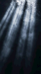 水下光线穿透的梦幻景象