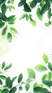 清新绿叶边框背景图