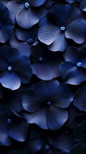 深蓝花朵纹理背景图案