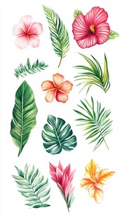 热带花卉与叶片插画素材