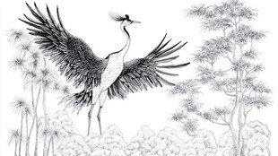 丹顶鹤展翅于松间美景