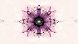 梦幻紫色分形花朵图案