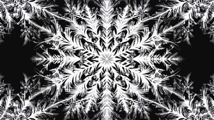 精美黑白雪花图案纹理