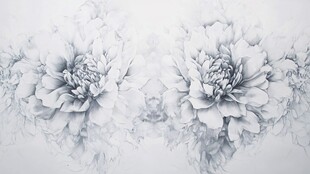 黑白牡丹花卉细腻素描画