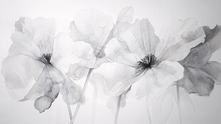 黑白水墨花卉艺术画作