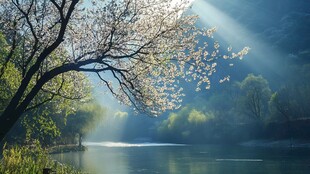 春日河畔 阳光树影映清波