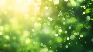 阳光洒落绿意盎然的自然景