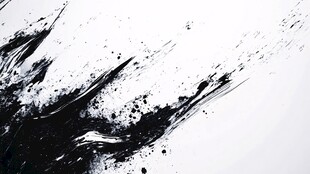 墨韵飞溅 黑白艺术之美