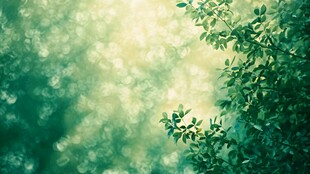 绿意盎然的清新枝叶景观