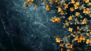 黑底上的灿烂黄色小花