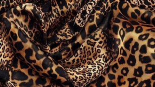 豹纹丝绸面料纹理特写