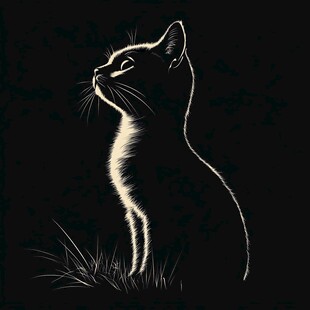 黑夜中静坐的猫咪剪影