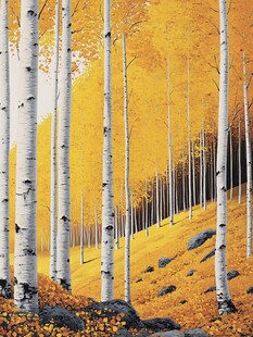 金秋白桦林美景