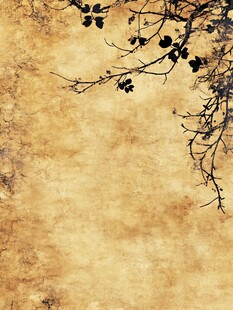 复古风树枝纹理背景图