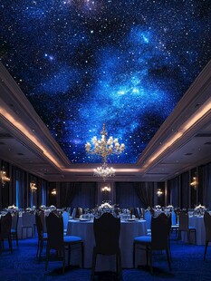梦幻星空主题宴会大厅