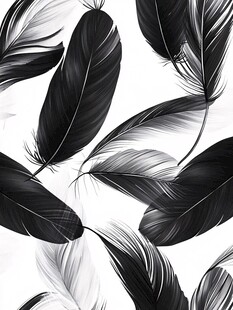 黑白羽毛图案背景设计