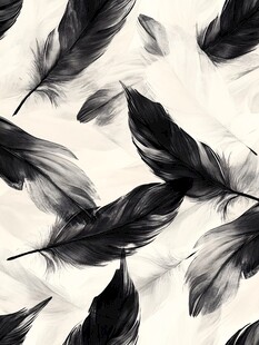 黑白羽毛艺术纹理图案