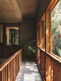 木质走廊 自然光影与绿植