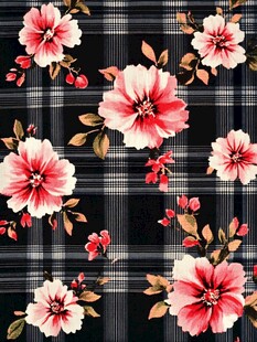 黑底格纹上的艳丽花卉图案