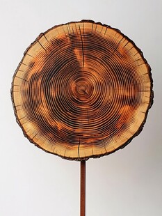 木片年轮装饰摆件