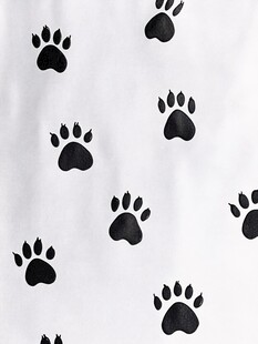 白色背景上的黑色动物爪印