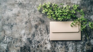 米色手包搭配绿植小景