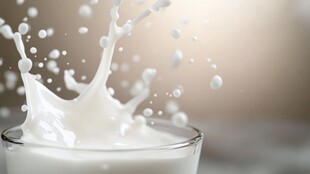 牛奶飞溅瞬间之美