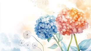 梦幻水彩绣球花插画