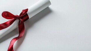 红丝带系卷 优雅简约设计