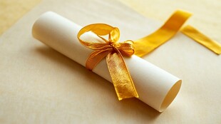 系着金缎带的精致卷轴