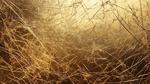 金色杂乱线条抽象背景图