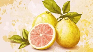 手绘清新黄柚子与绿叶