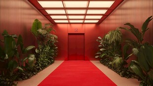 红地毯电梯厅的绿植景致