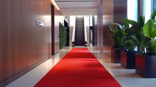 豪华走廊铺就红色迎宾地毯