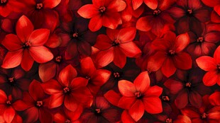 热烈红花朵朵绽放