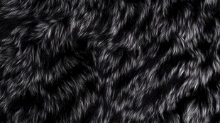 黑色毛绒纹理背景图