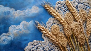 蓝幕蕾丝上的金黄麦穗