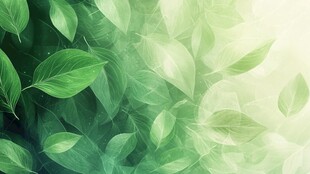 清新绿叶背景图