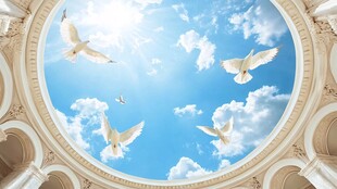 穹顶之上白鸽翱翔于蓝天